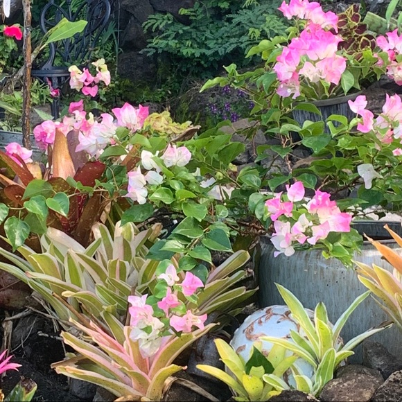 Meet your Posher, J - Picture 1 of 4